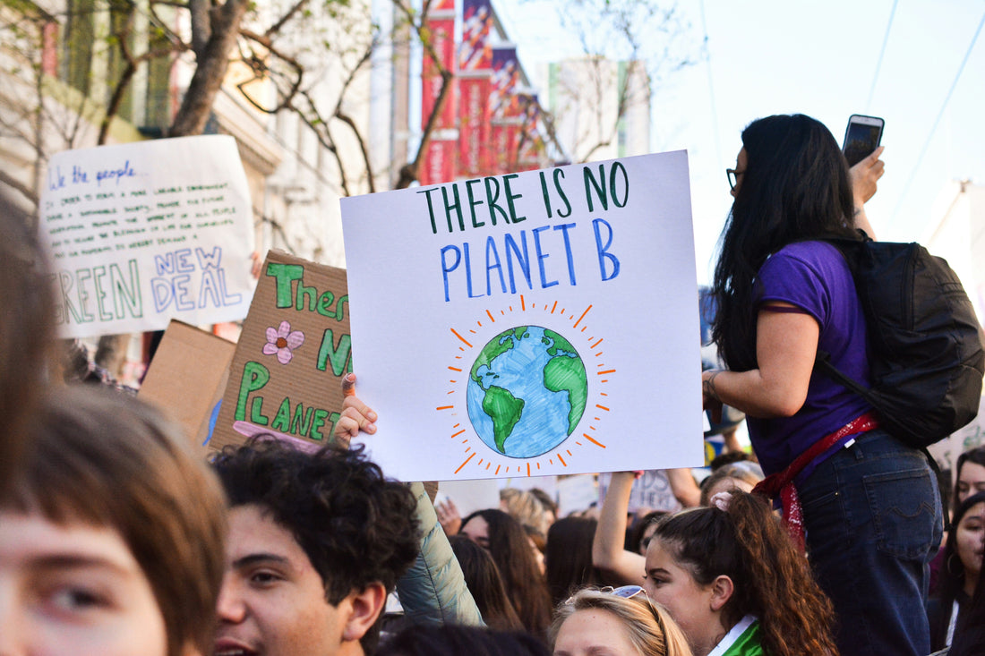 How ISO Management Systems Tackle Climate Change: Practical Solutions for Businesses