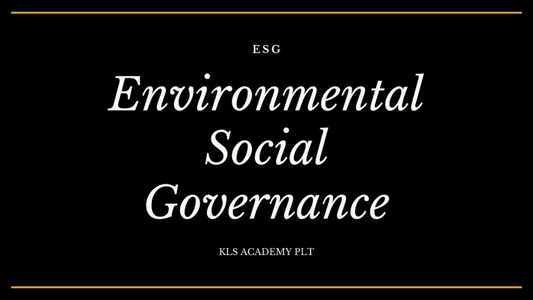 ESG for SMEs: A Simple Guide to Getting Started the Right Way