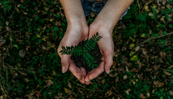 ISO 14001:2026 – What Is Confirmed So Far?